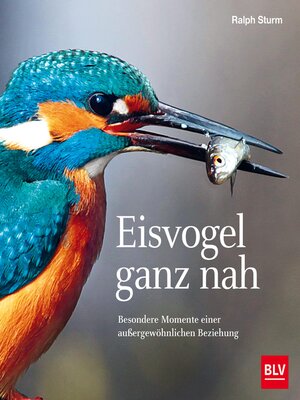 cover image of Eisvogel ganz nah